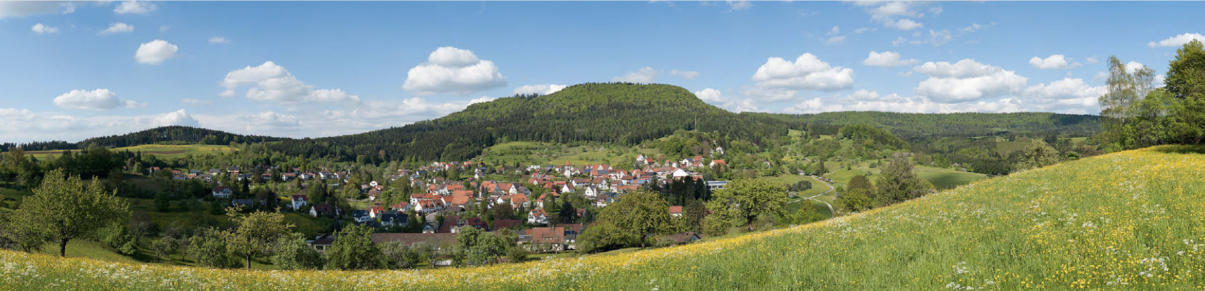 Schwäbischer Albverein | Ortsgruppe Streichen